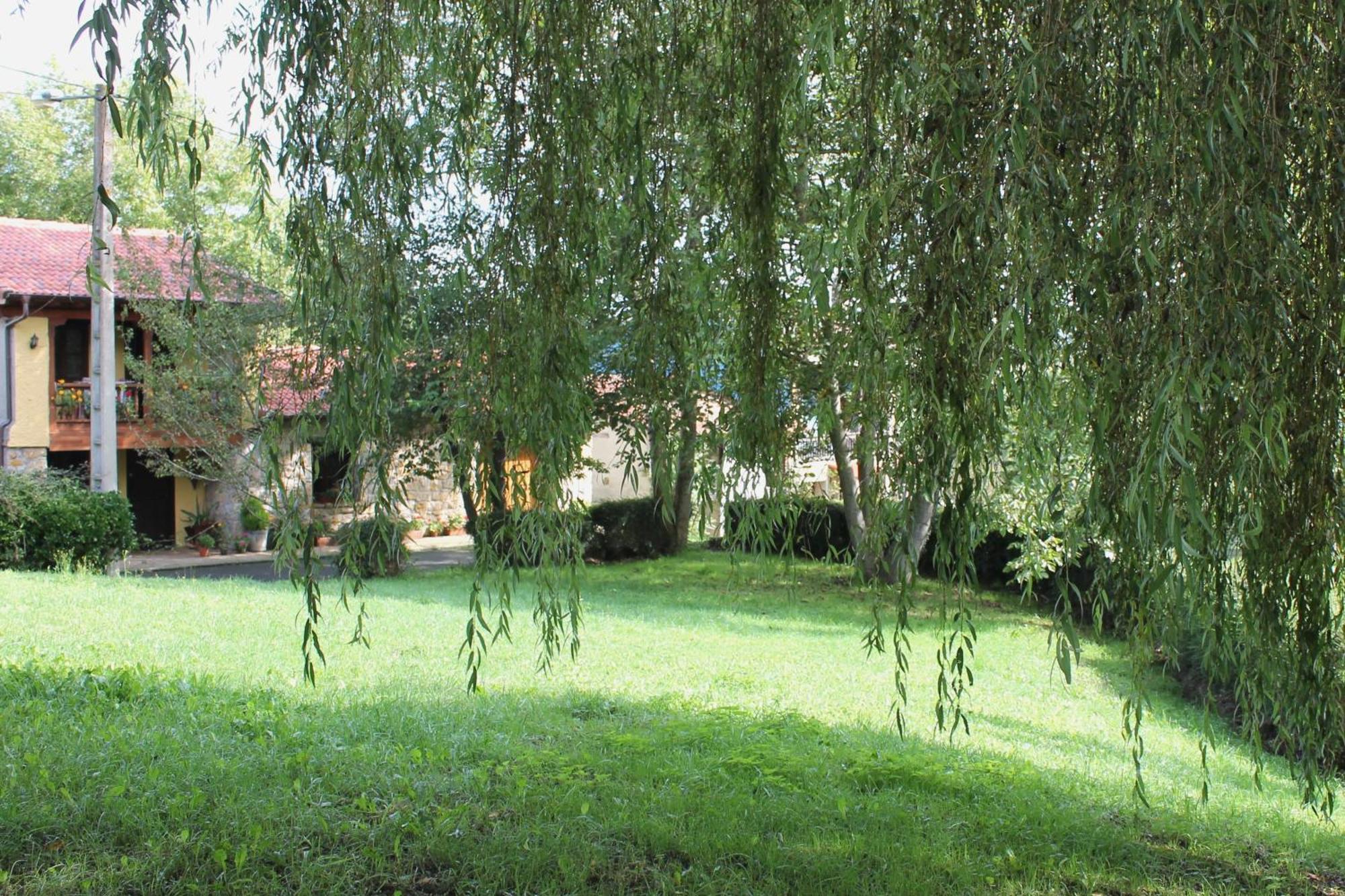 Вилла Casa De Aldea Monga 9 En Nava, Asturias Экстерьер фото